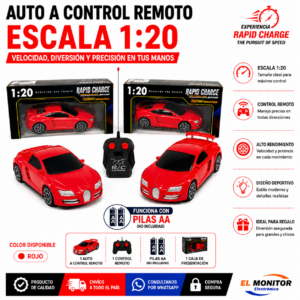 Auto a Control Remoto Escala 1:20 Recargable USB Deportivo RC